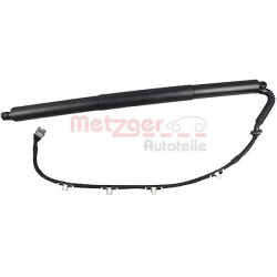  galinių durų elektros variklis