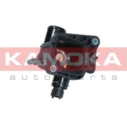  termostatas, aušinimo skystis