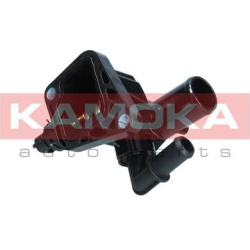  termostatas, aušinimo skystis