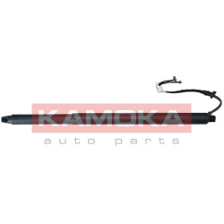  galinių durų elektros variklis