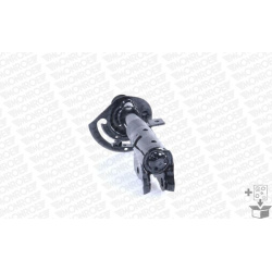 amortizatorius  amortizatorius