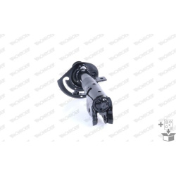 amortizatorius  amortizatorius