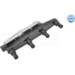  ritė, uždegimas <small>MEYLE-ORIGINAL: True to OE.</small>