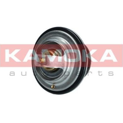  termostatas, aušinimo skystis