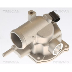  termostatas, aušinimo skystis