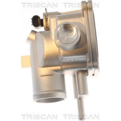  termostatas, aušinimo skystis