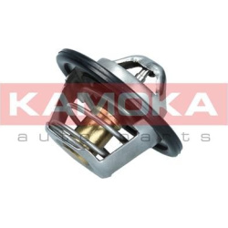  termostatas, aušinimo skystis