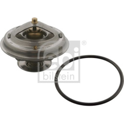  termostatas, aušinimo skystis