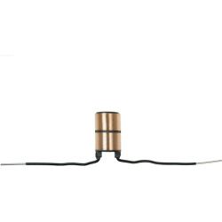  kontaktinis žiedas, generatorius <small>AS</small>