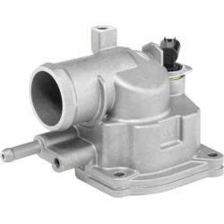  termostatas, aušinimo skystis