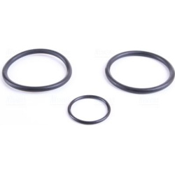  radiatorius, variklio aušinimas