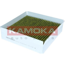  filtras, salono oras