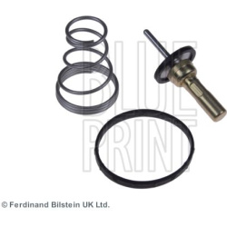  termostatas, aušinimo skystis