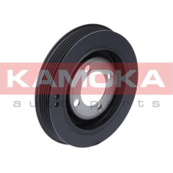  skriemulys, alkūninis velenas