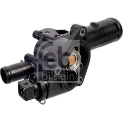  termostatas, aušinimo skystis