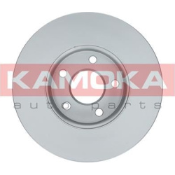  stabdžių diskas (1vnt)