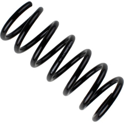  spyruoklė <small>BILSTEIN - B3 OE Replacement</small>