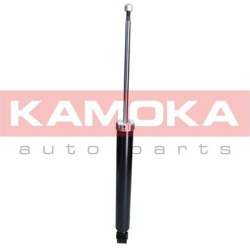 amortizatorius  amortizatorius