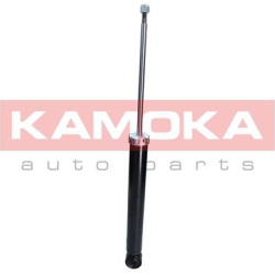 amortizatorius  amortizatorius