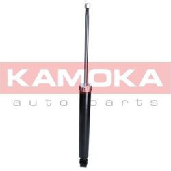 amortizatorius  amortizatorius