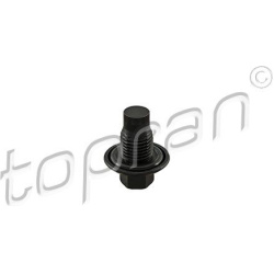  alyvos išleidimo kaištis, alyvos karteris