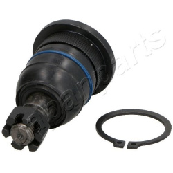 Šarnyras  Šarnyras