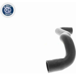  radiatoriaus žarna <small>Q+, original equipment manufacturer quality</small>