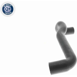  radiatoriaus žarna <small>Q+, original equipment manufacturer quality</small>