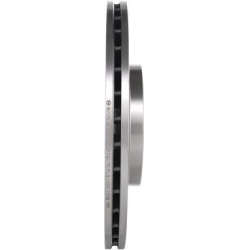  stabdžių diskas (1vnt)