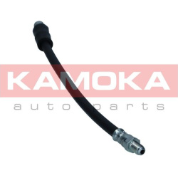  stabdžių žarnelė