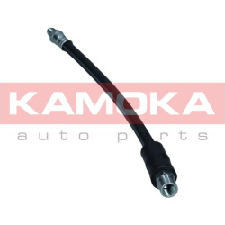  stabdžių žarnelė