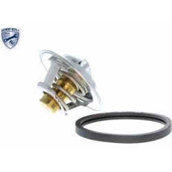  termostatas, aušinimo skystis <small>EXPERT KITS +</small>