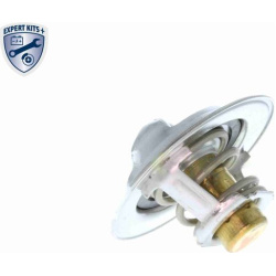  termostatas, aušinimo skystis <small>EXPERT KITS +</small>