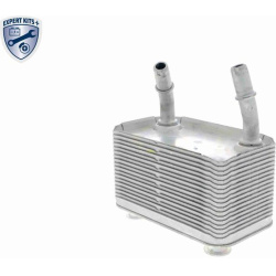  alyvos aušintuvas, automatinė transmisija <small>EXPERT KITS +</small>