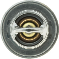  termostatas, aušinimo skystis