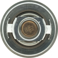  termostatas, aušinimo skystis