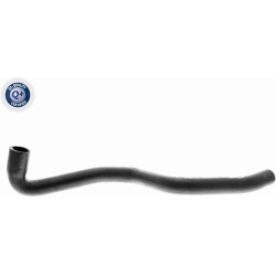  radiatoriaus žarna <small>Original VAICO Quality</small>