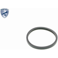  termostatas, aušinimo skystis <small>EXPERT KITS +</small>