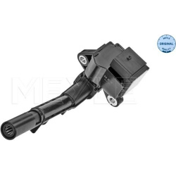  ritė, uždegimas <small>MEYLE-ORIGINAL: True to OE.</small>