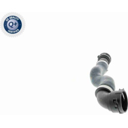  radiatoriaus žarna <small>Q+, original equipment manufacturer quality</small>