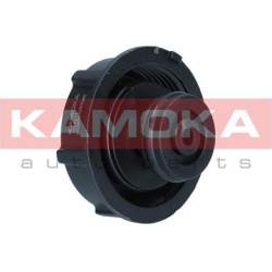  dangtelis, radiatorius