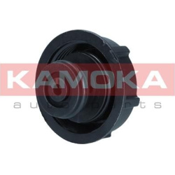  dangtelis, radiatorius