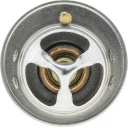  termostatas, aušinimo skystis