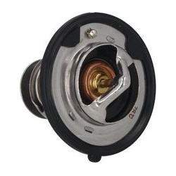  termostatas, aušinimo skystis