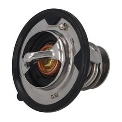  termostatas, aušinimo skystis