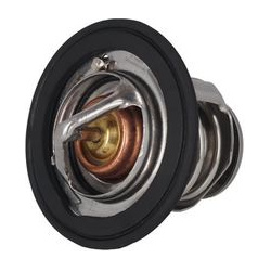  termostatas, aušinimo skystis