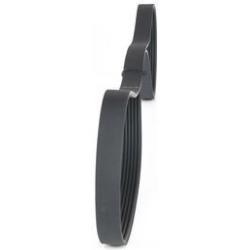  V formos rumbuoti diržai <small>„Elastic“</small>