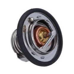  termostatas, aušinimo skystis