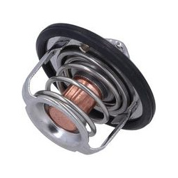  termostatas, aušinimo skystis