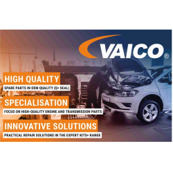  stabilizatoriaus įvorė <small>Original VAICO Quality</small>